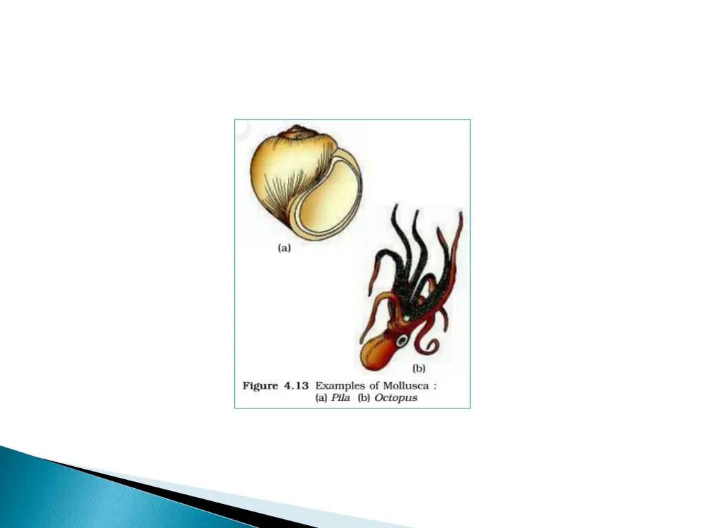 slide3