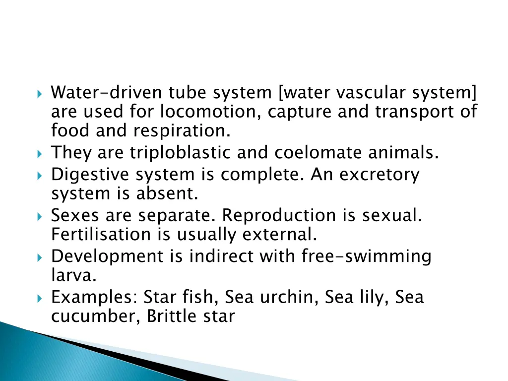 water driven tube system water vascular system