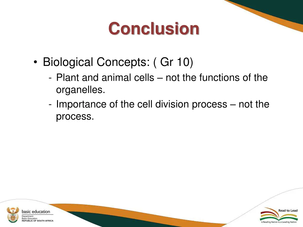 conclusion 1