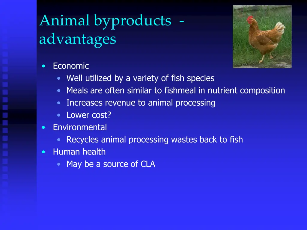 animal byproducts advantages