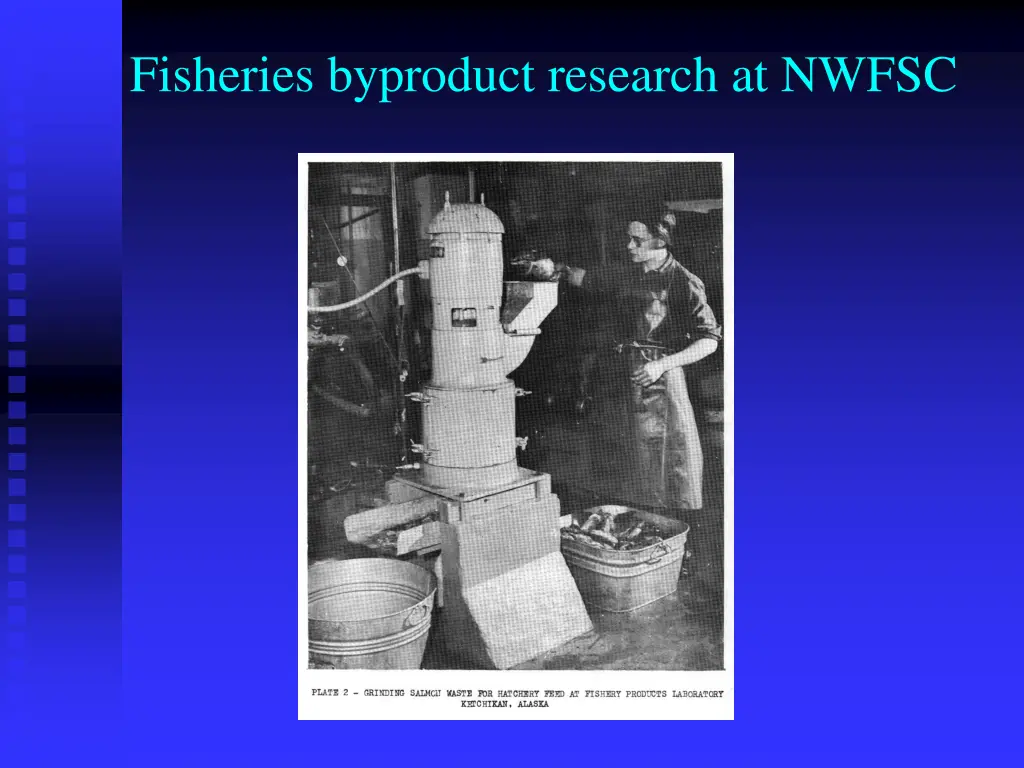 fisheries byproduct research at nwfsc