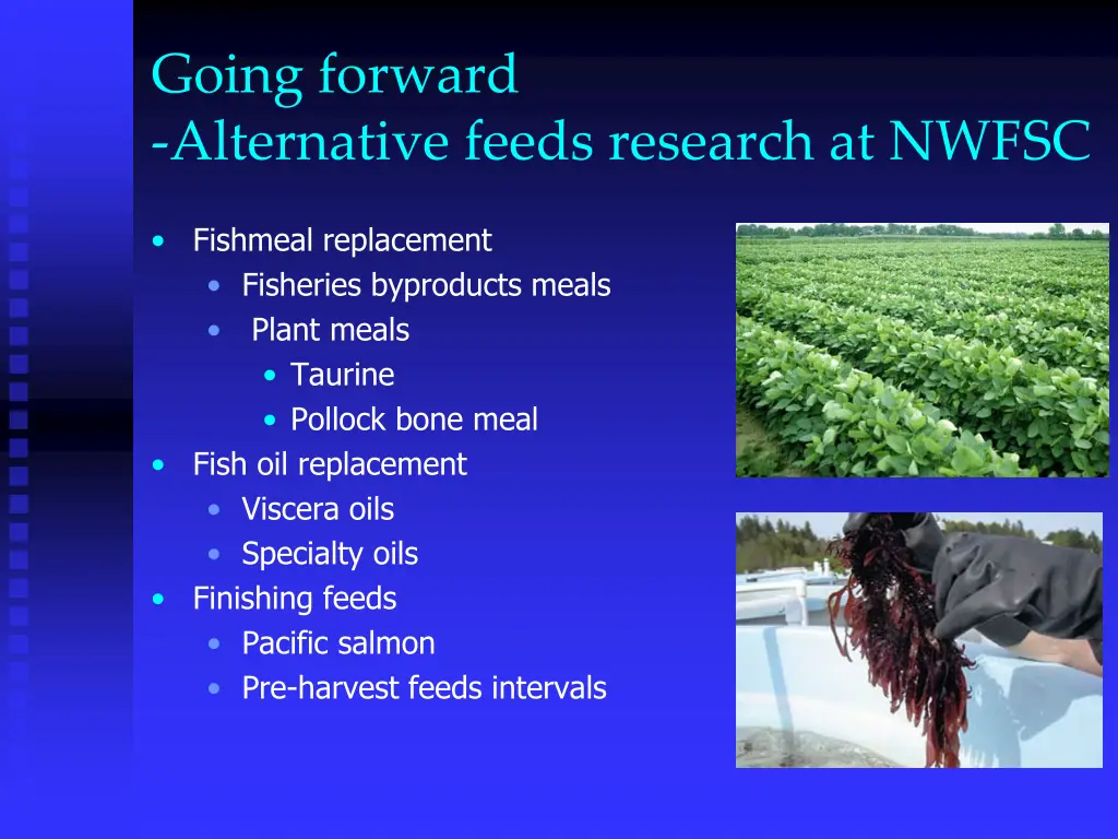 going forward alternative feeds research at nwfsc