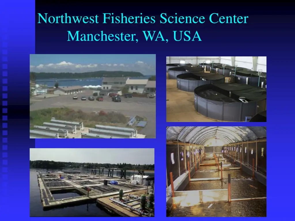 northwest fisheries science center manchester