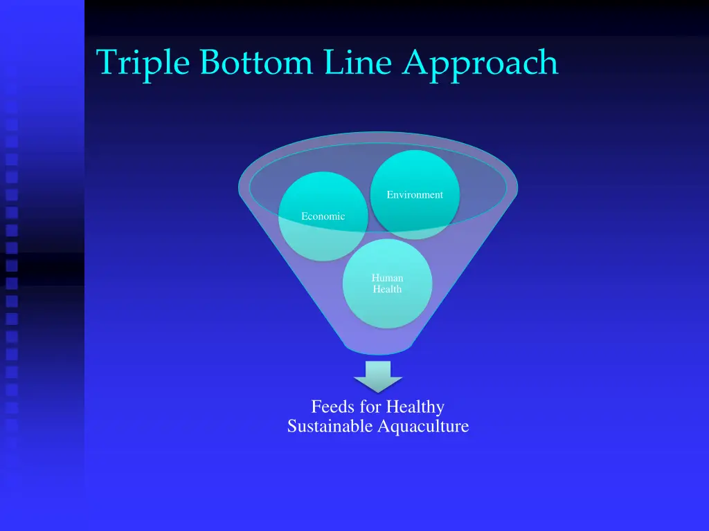 triple bottom line approach