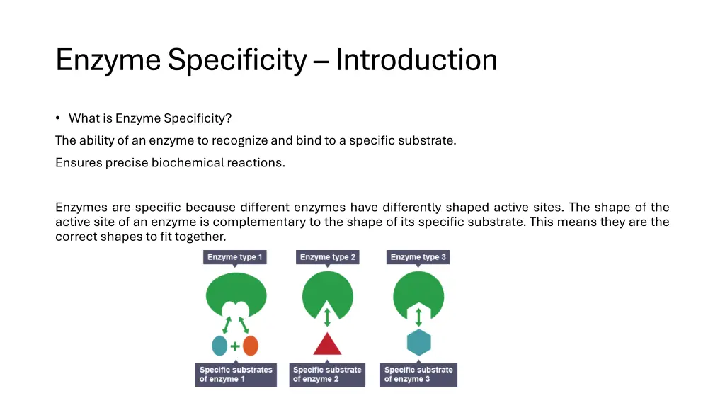 enzyme specificity introduction