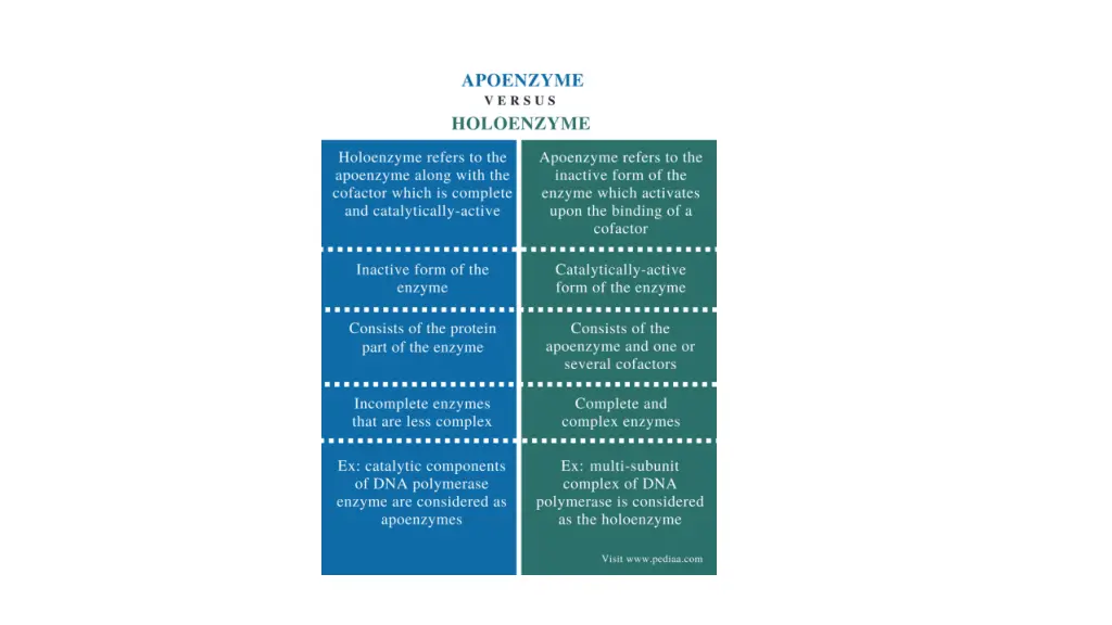 slide8