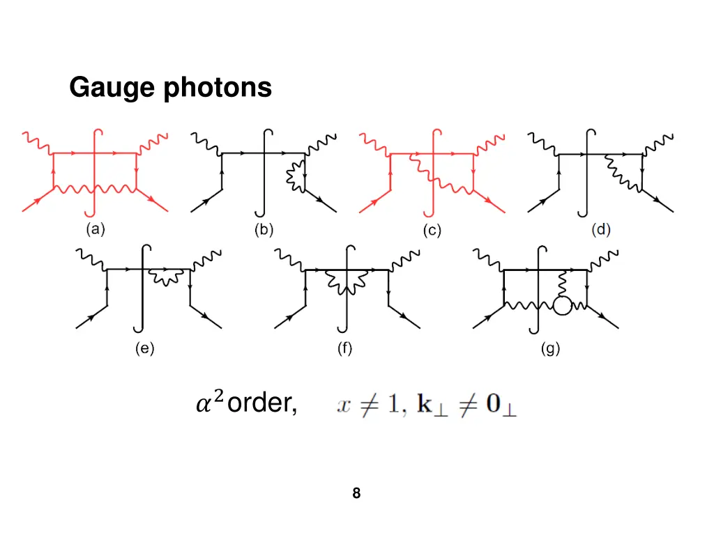 gauge photons 1