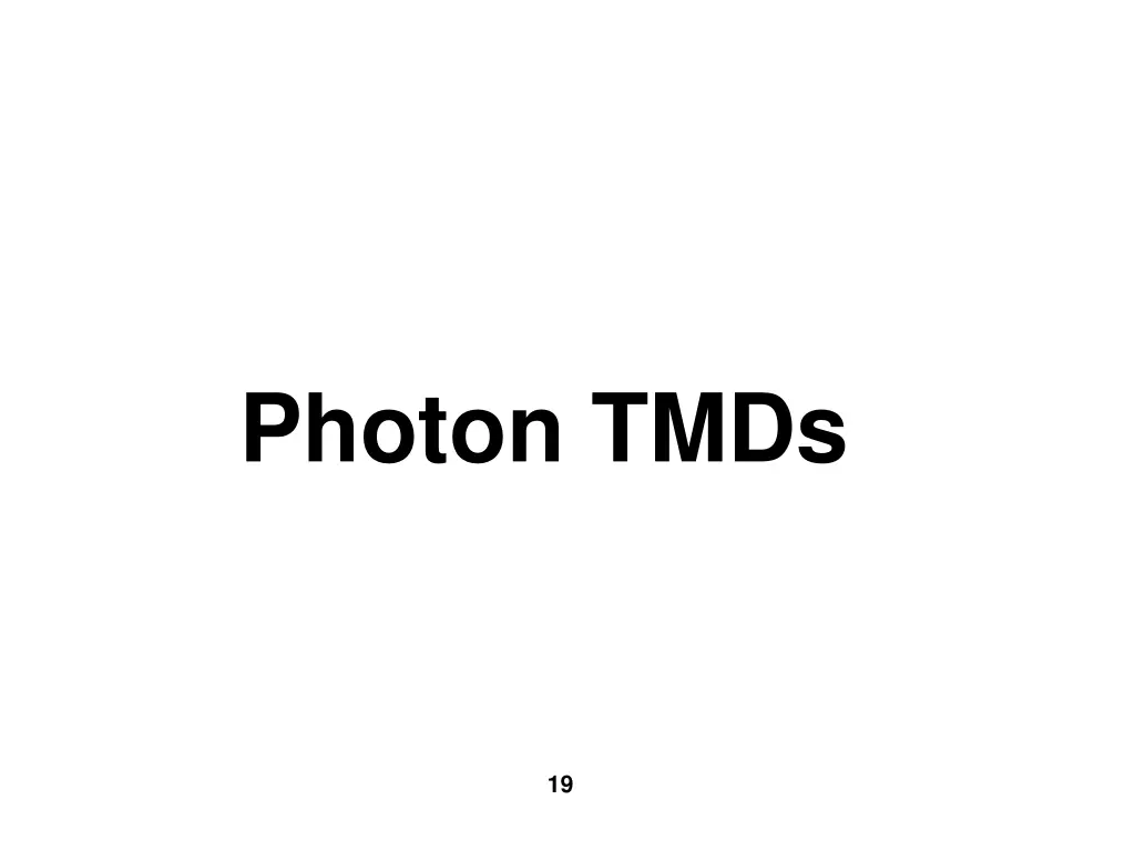 photon tmds