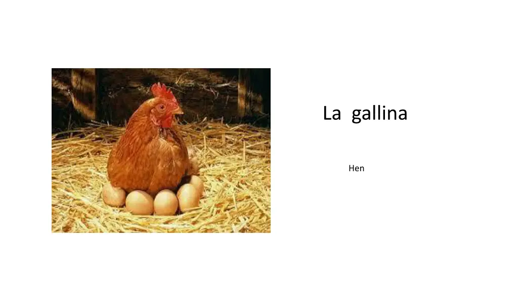 la gallina