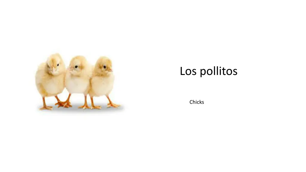 los pollitos