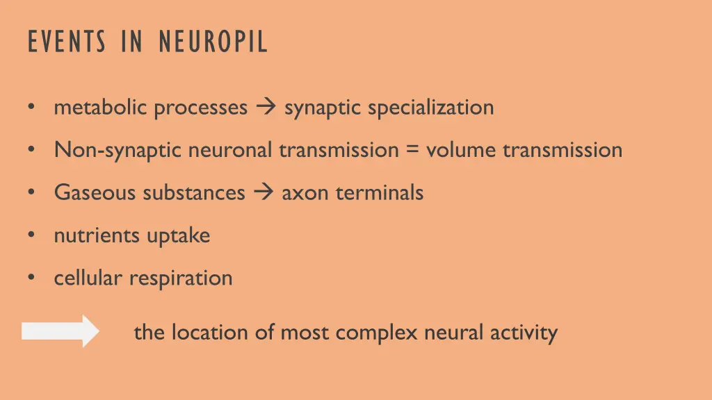 events in neuropil