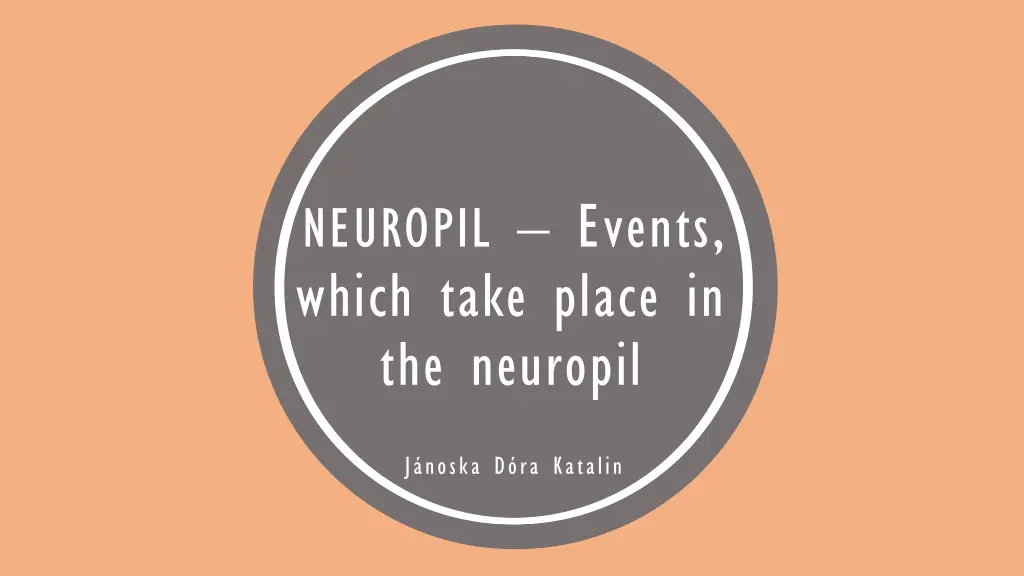 neuropil events which take place in the neuropil