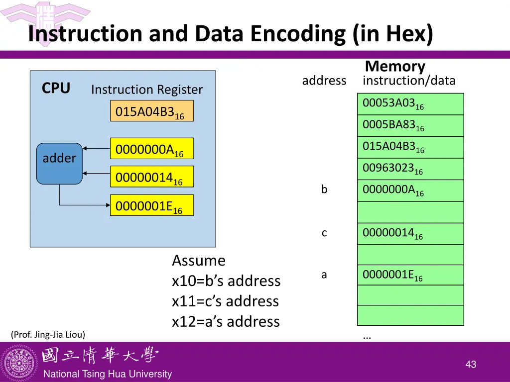 instruction and data encoding in hex