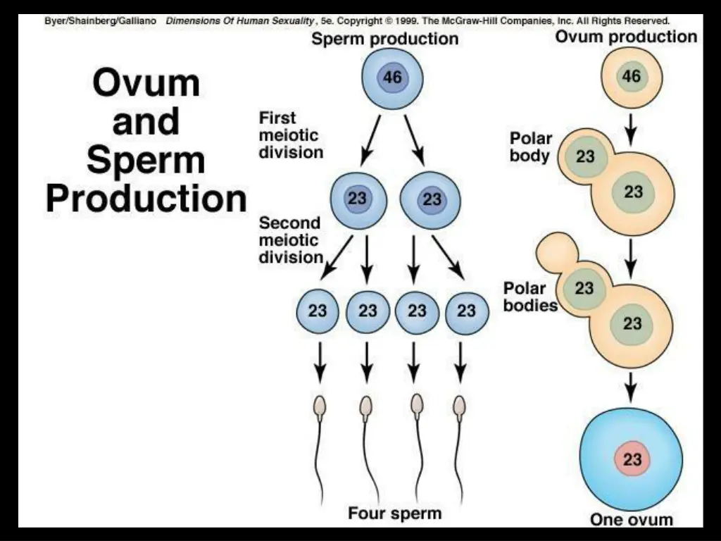 slide12