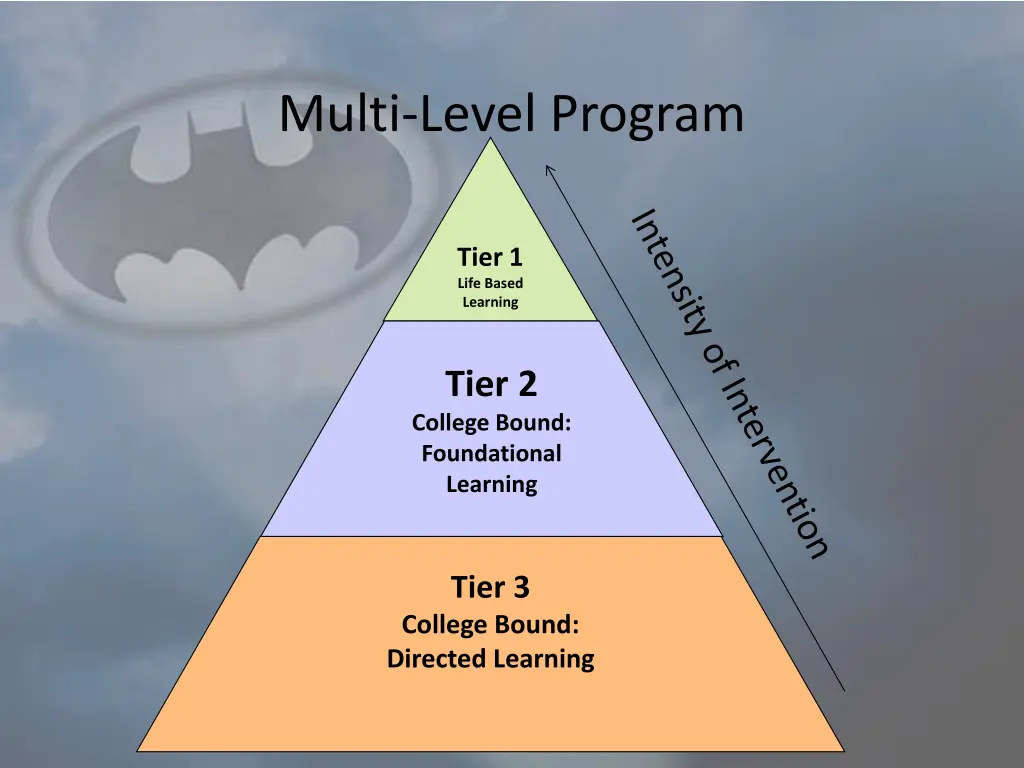 multi level program