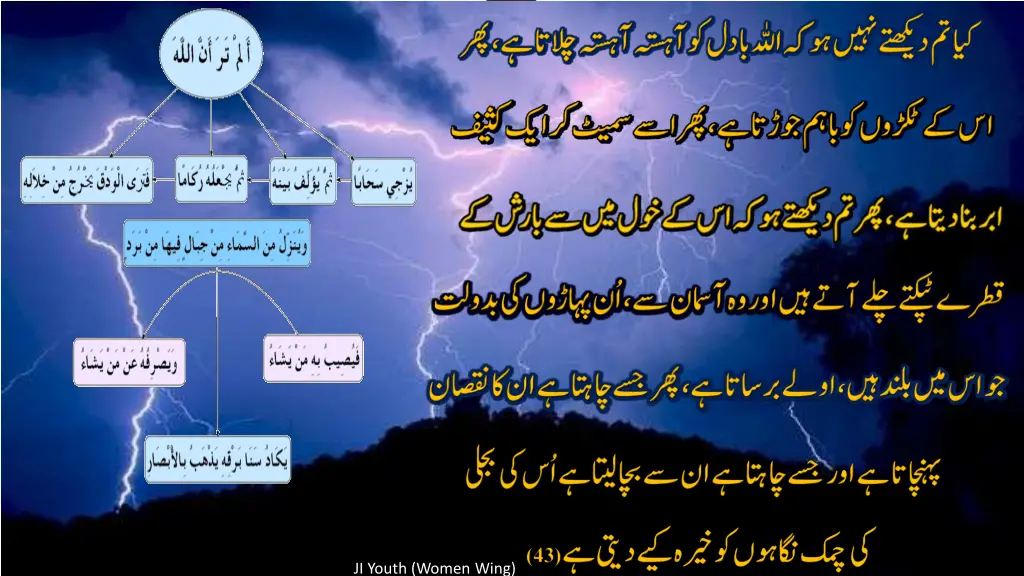 ji youth women wing 11