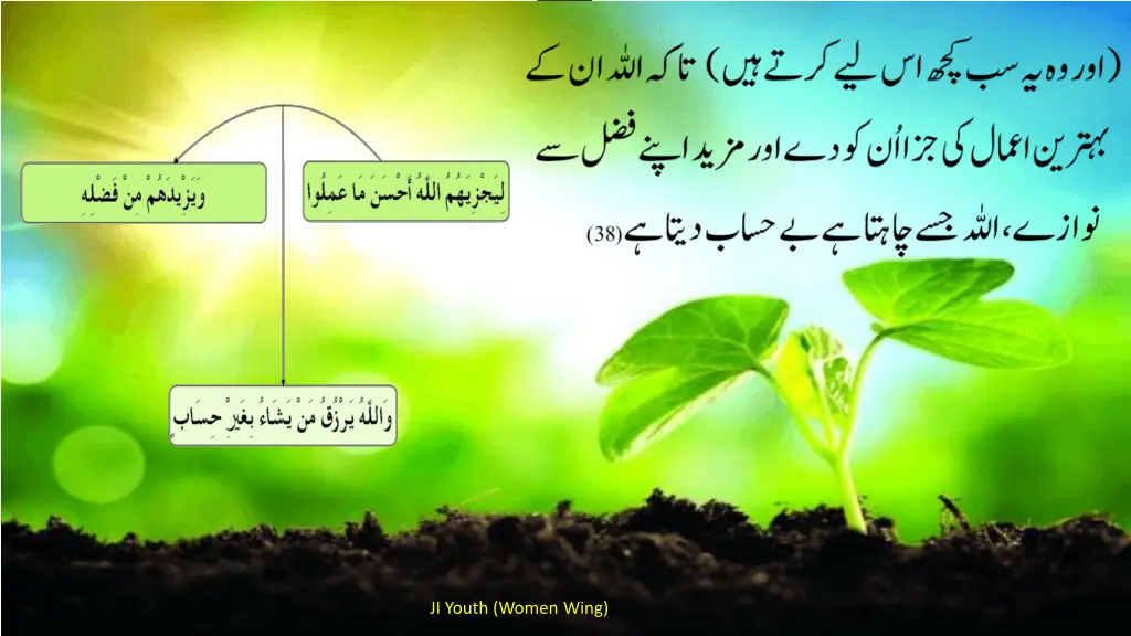 ji youth women wing 6
