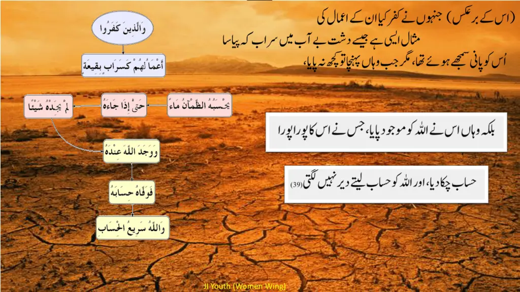 ji youth women wing 7