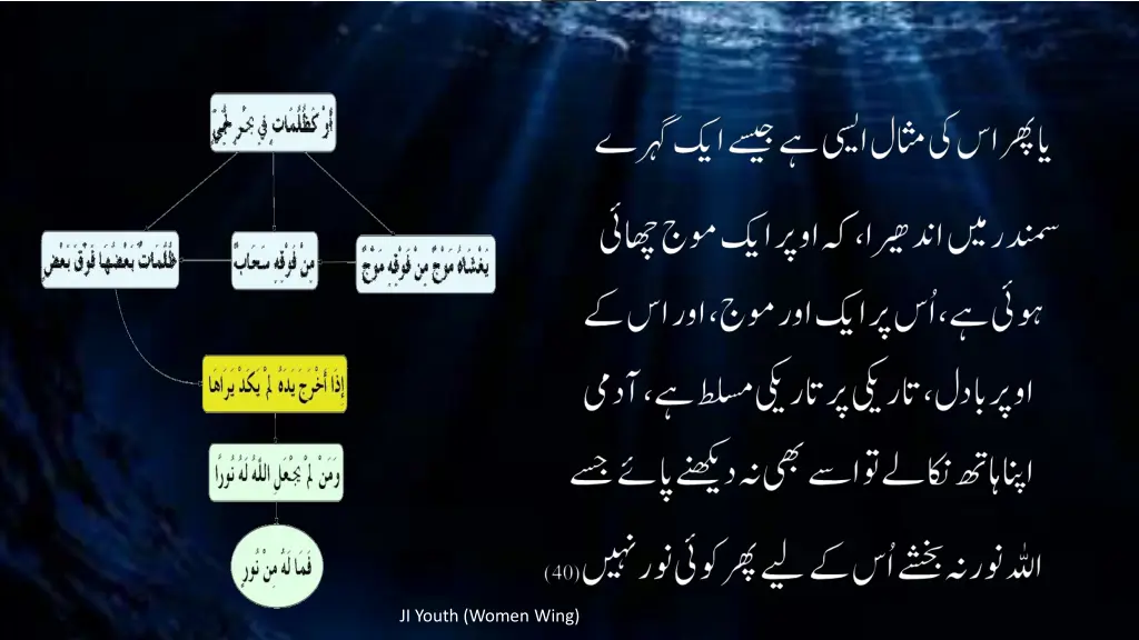 ji youth women wing 8