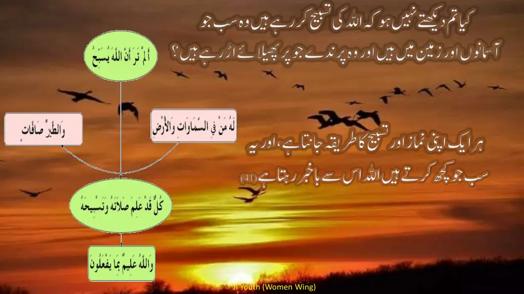 ji youth women wing 9