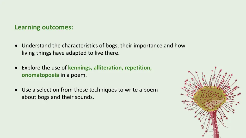 learning outcomes