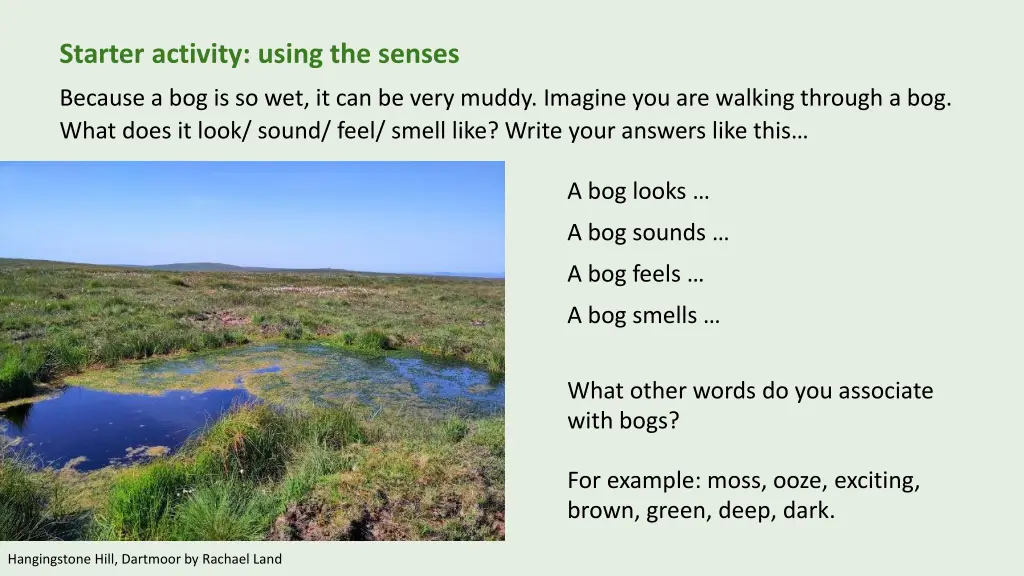 starter activity using the senses