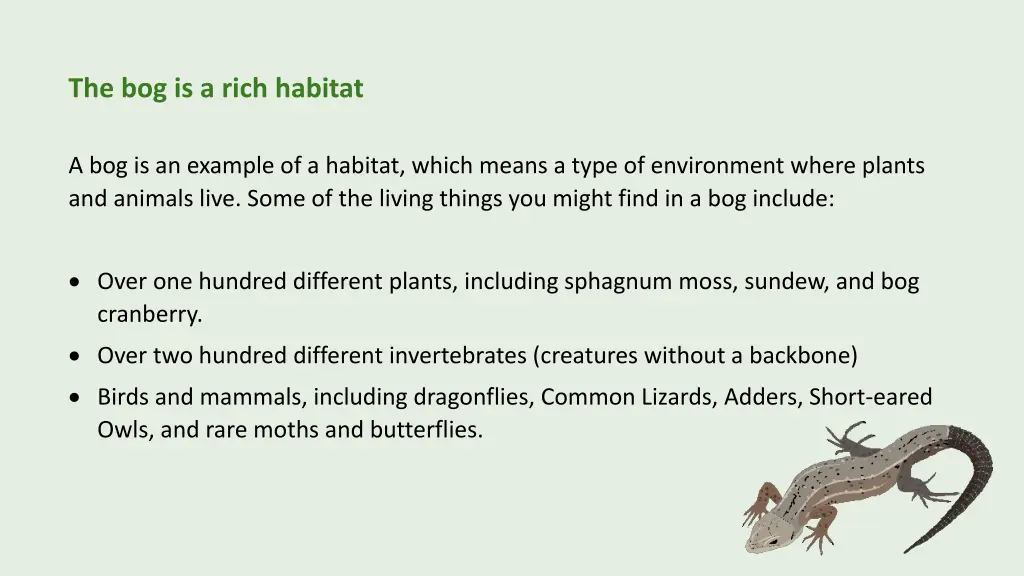 the bog is a rich habitat