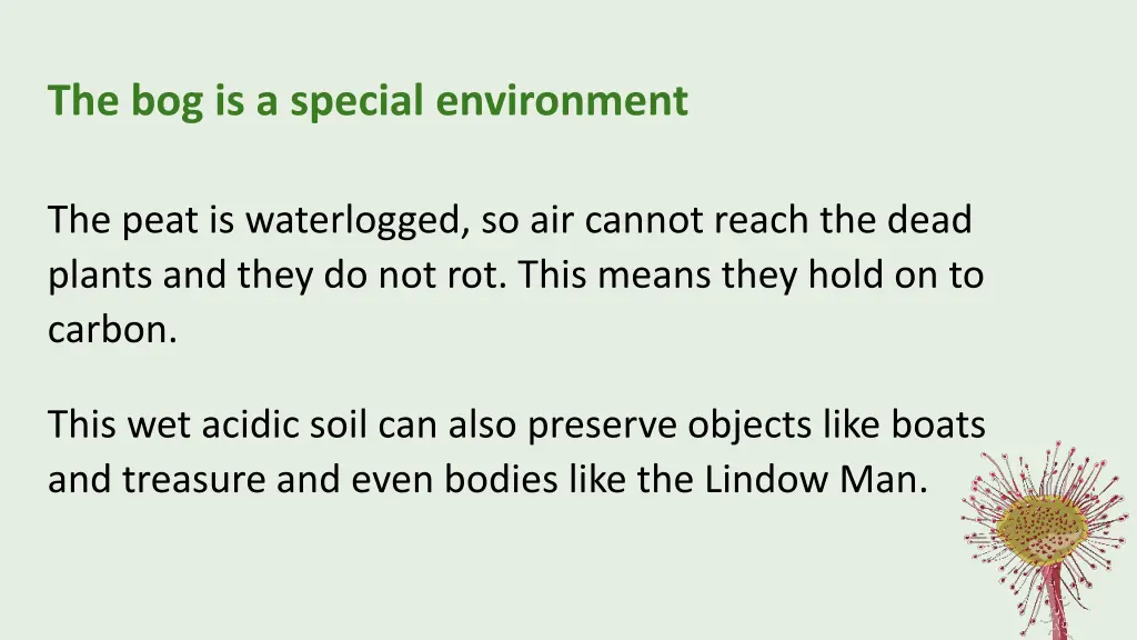 the bog is a special environment