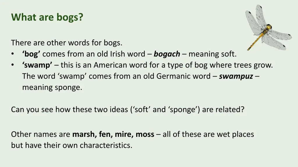 what are bogs 1