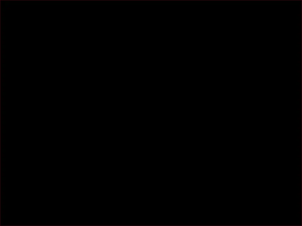 slide6