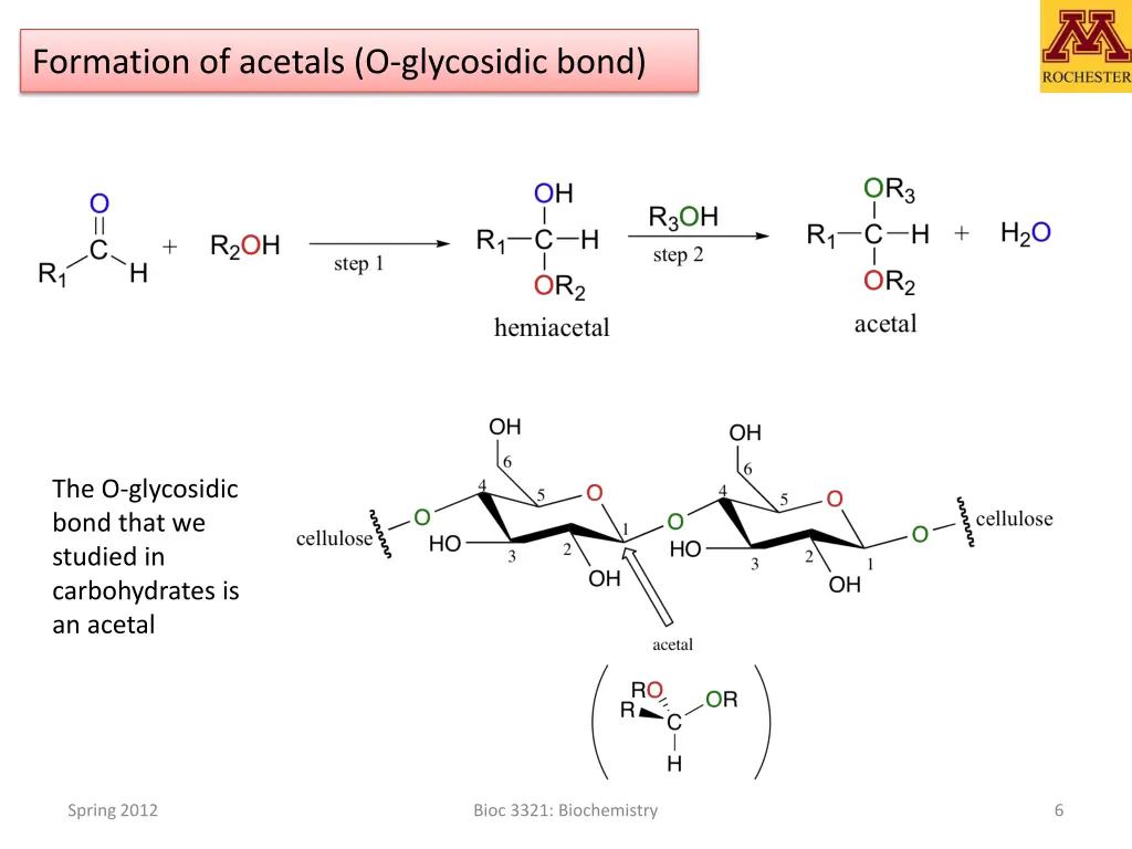 formation of acetals o glycosidic bond