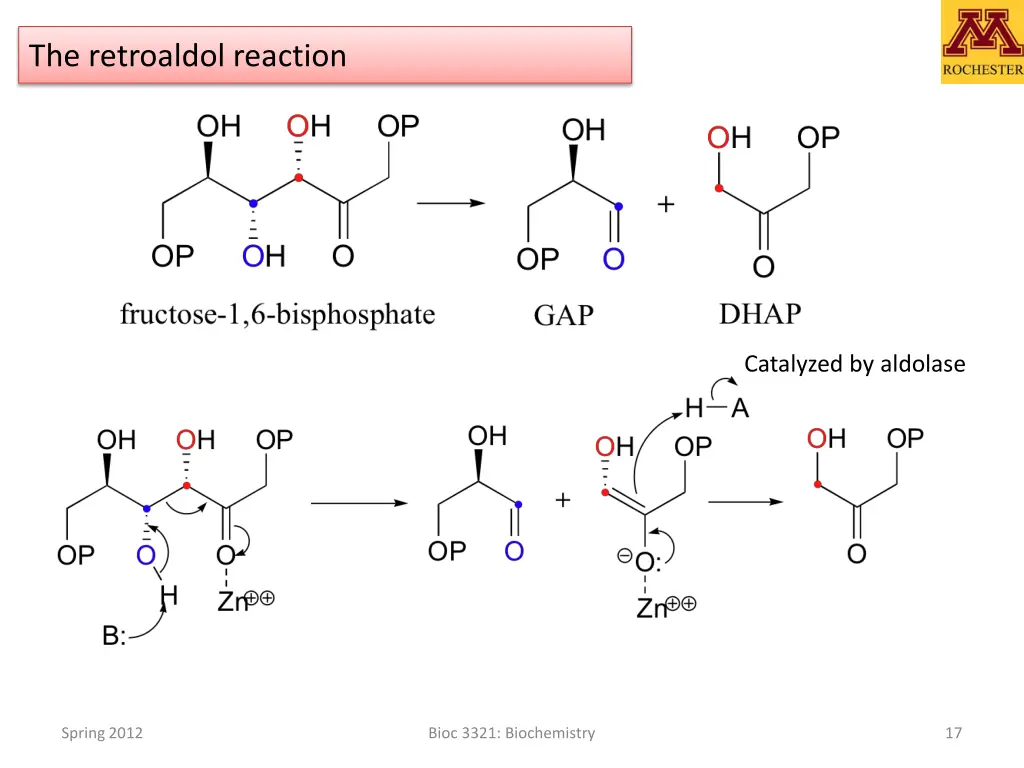 the retroaldol reaction