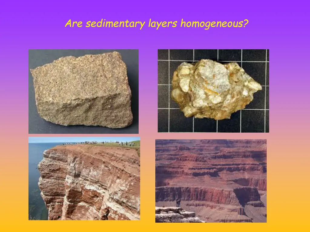 are sedimentary layers homogeneous