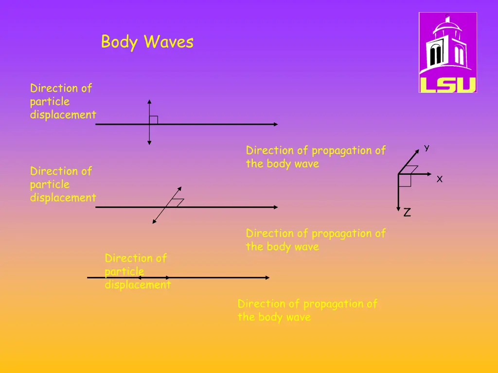 body waves