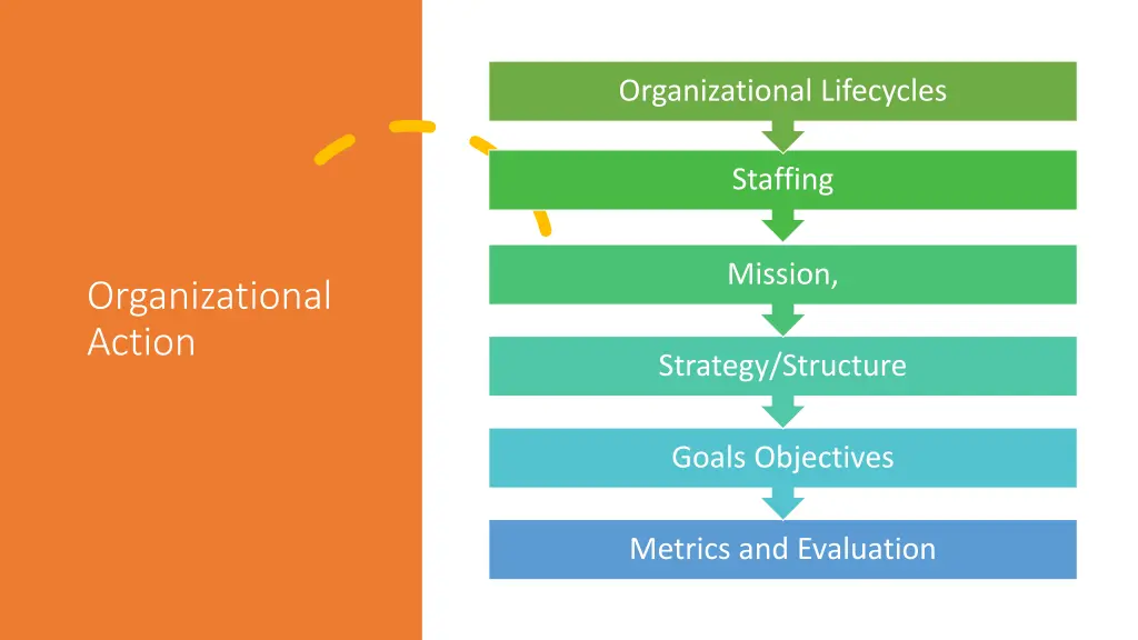 organizational lifecycles