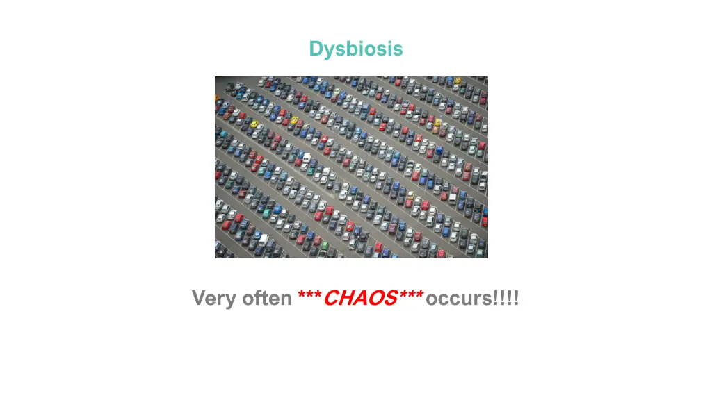 dysbiosis