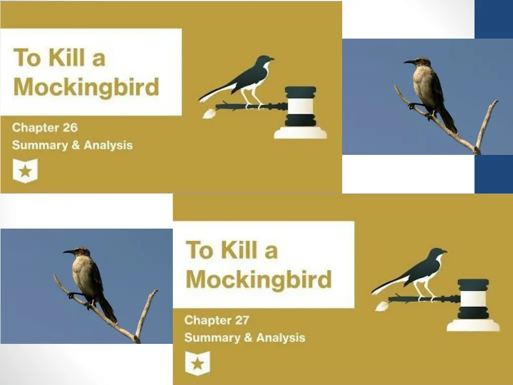 slide14