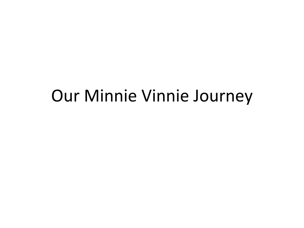 our minnie vinnie journey