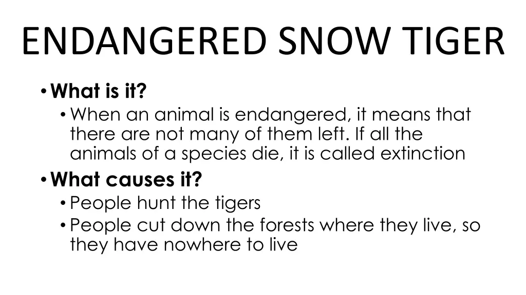 endangered snow tiger