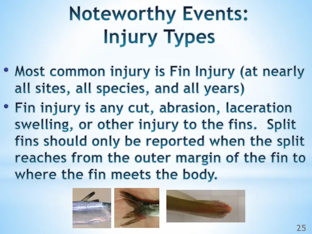slide25