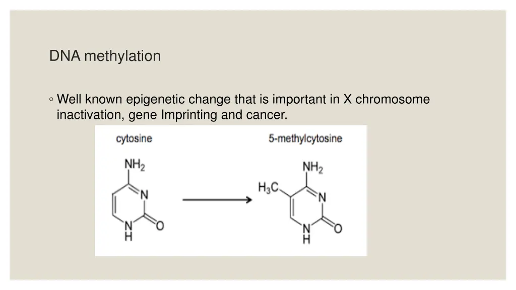 dna methylation