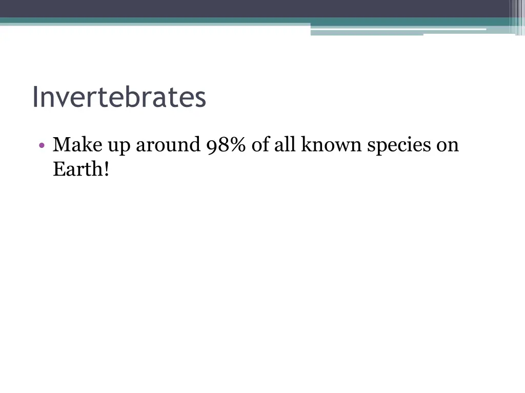 invertebrates 1