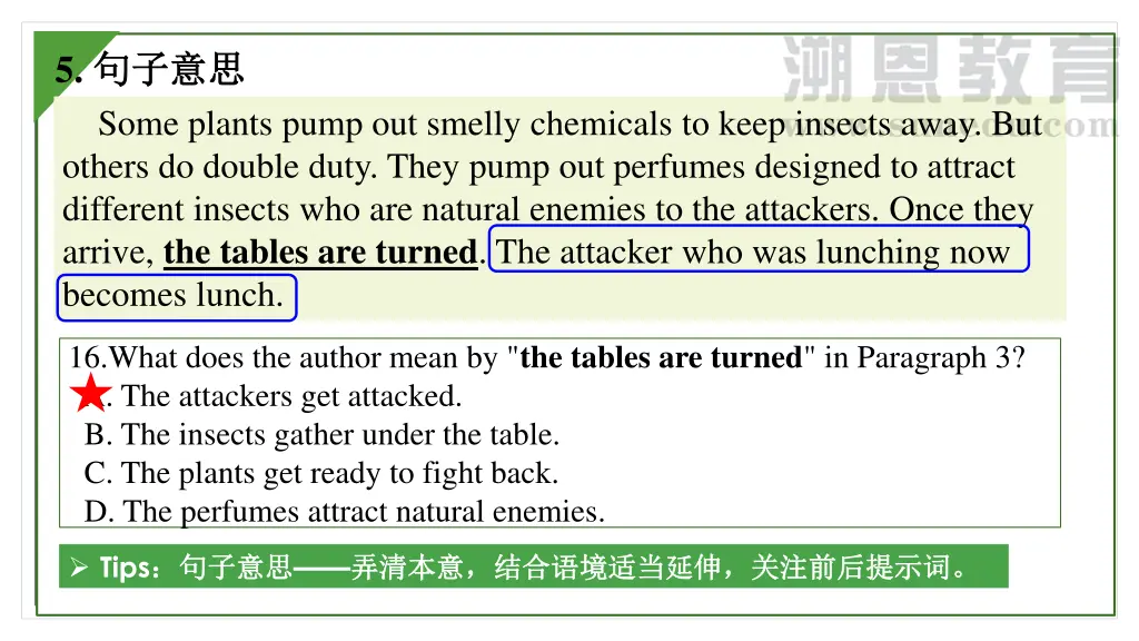 slide20