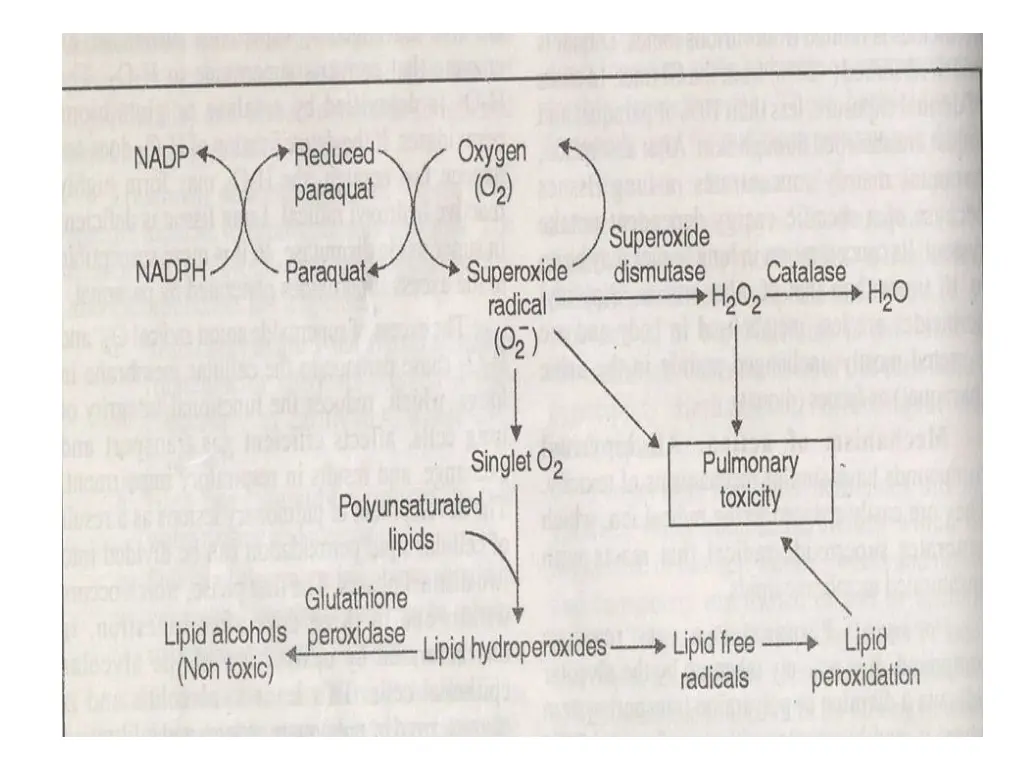 slide8