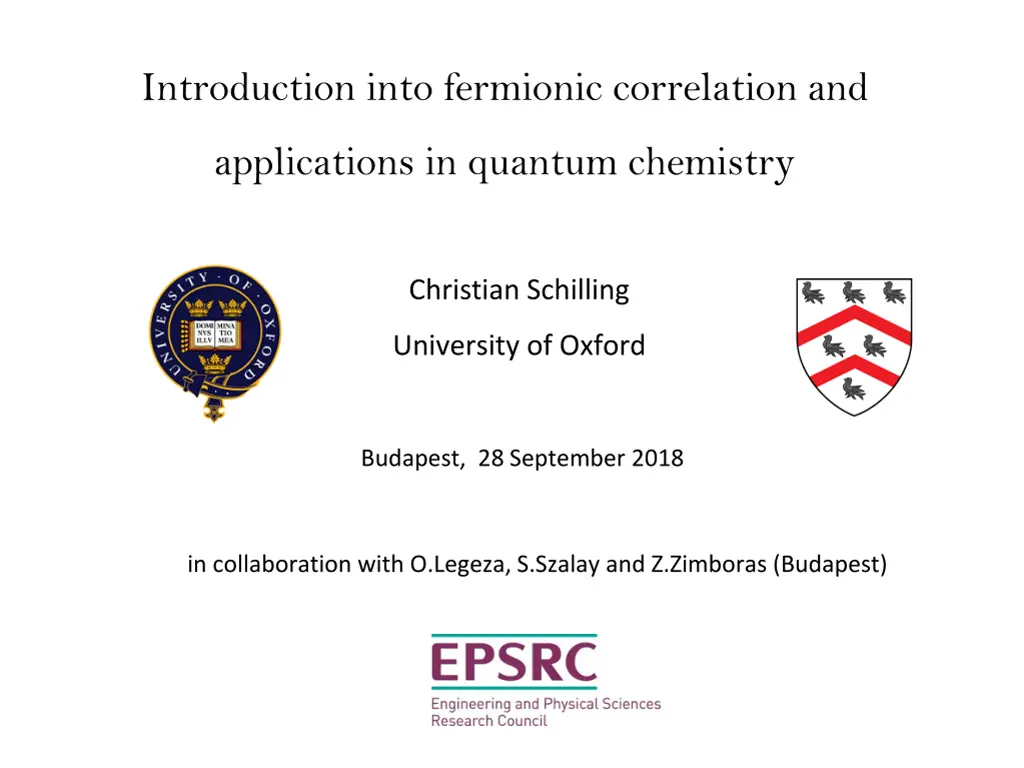introduction into fermionic correlation and