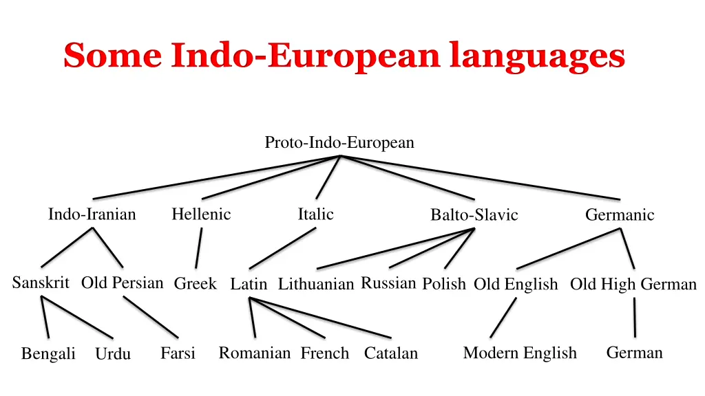 some indo european languages