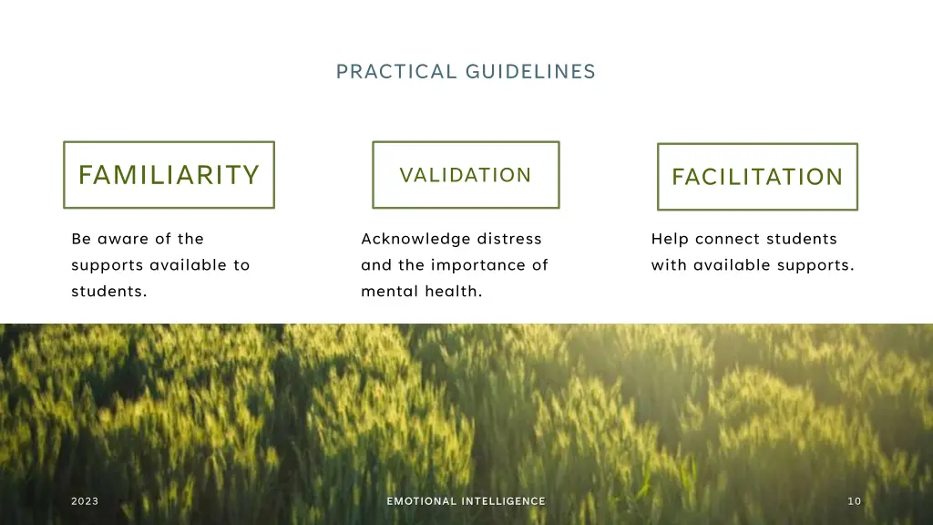 practical guidelines