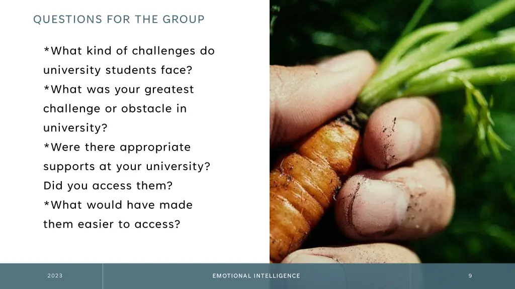 questions for the group