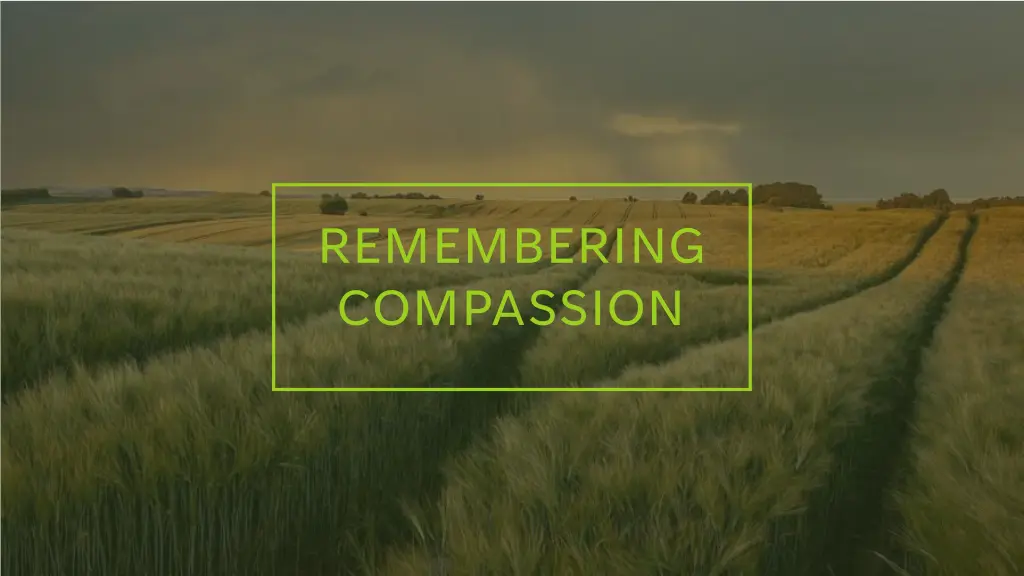 remembering compassion