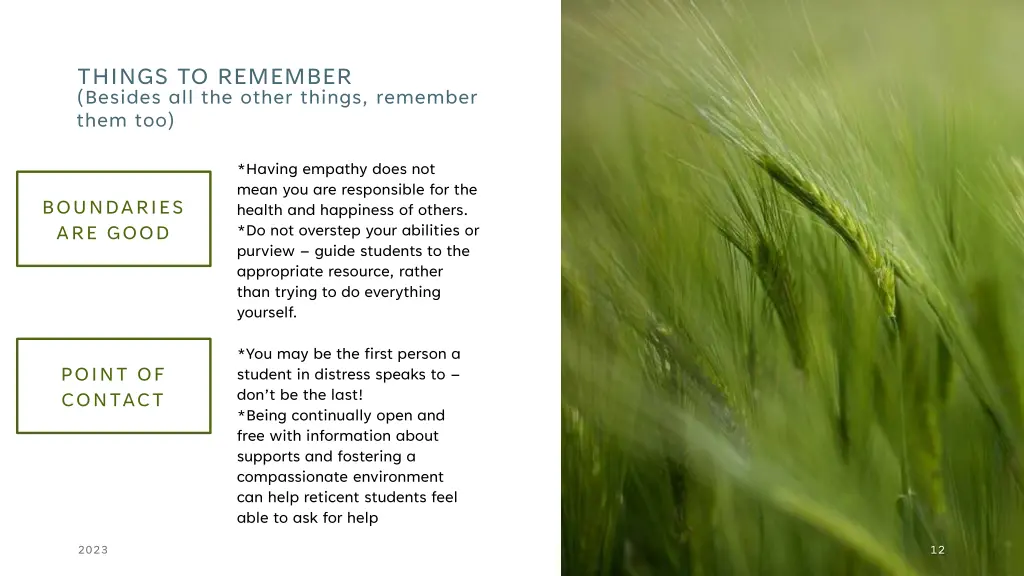 things to remember besides all the other things